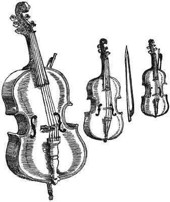 Violin Familiy image