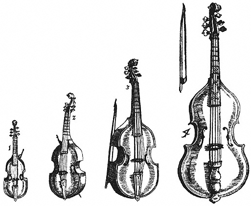 Viol Family image